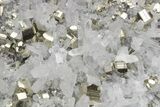 Gleaming, Striated Pyrite Crystals on Quartz - Peru #231534-2